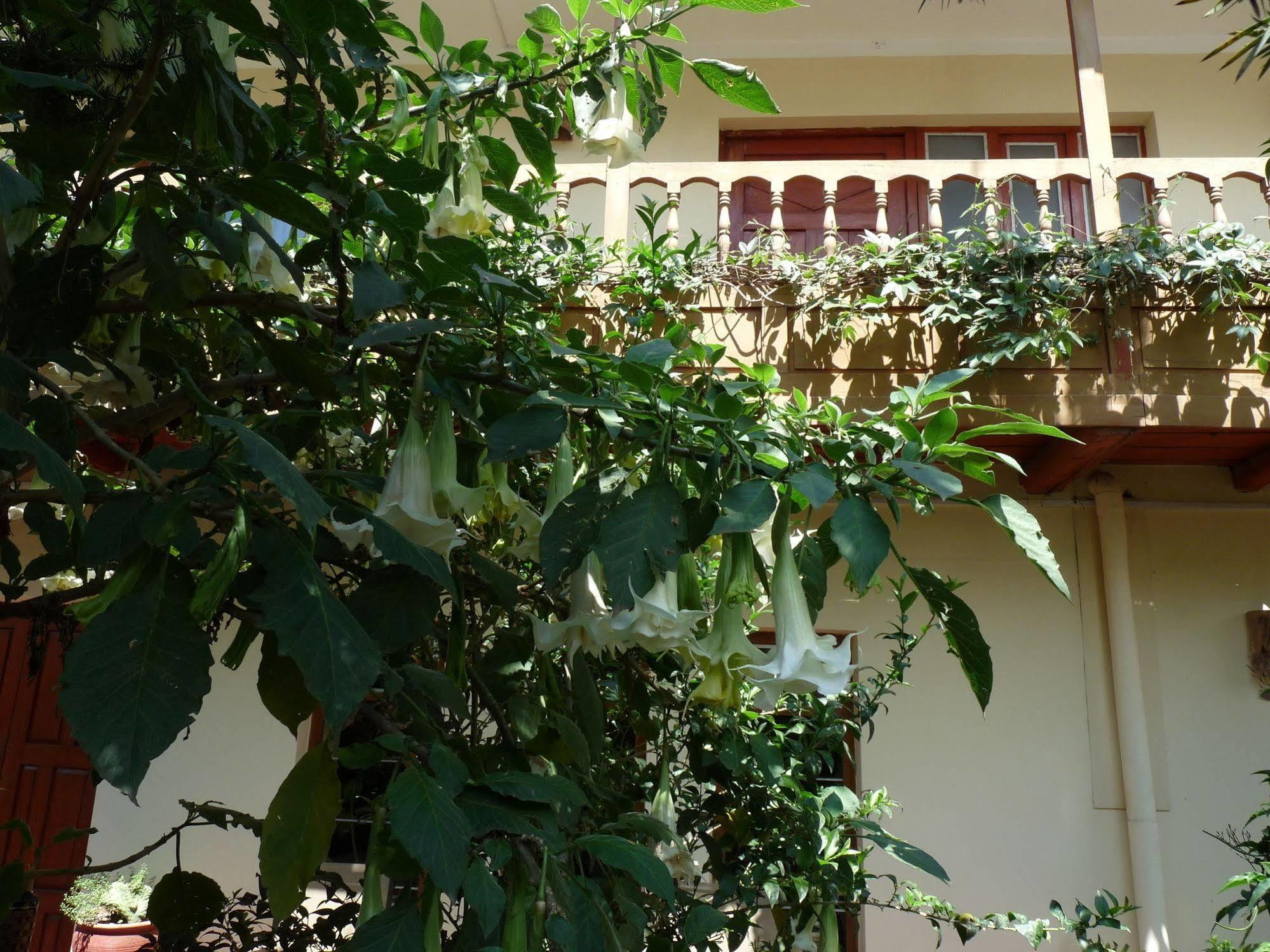 Kukuli Lodge B&B Cuzco Exterior foto